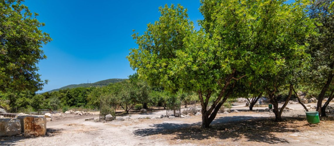 בוסתן-גולי-הראל-בפארק-חניתה.-צילום-–-בוני-שיינמן-ארכיון-קקל-2048x1152